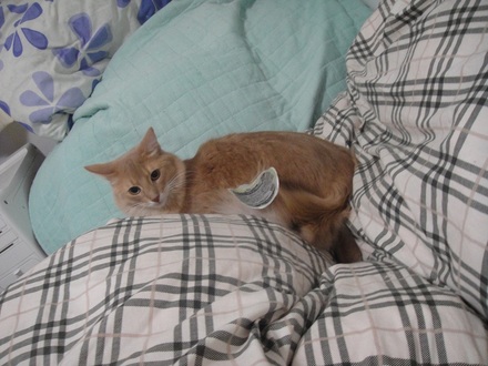 2012010500.jpg
