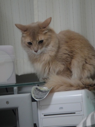 2012010501.jpg