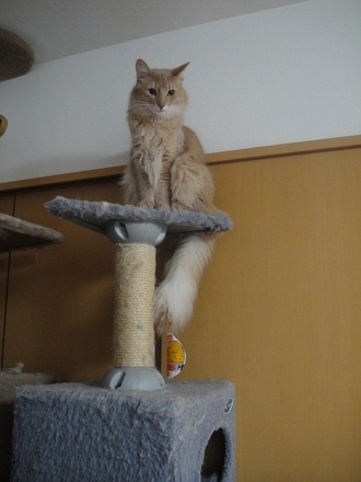 2012010502.jpg