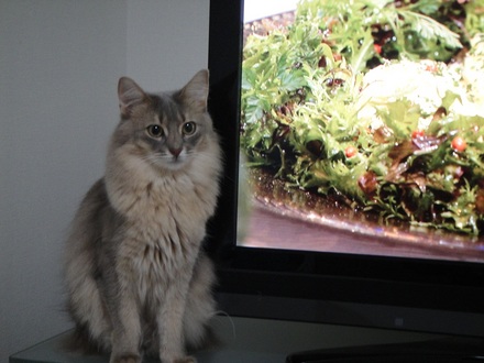 2012010700.jpg