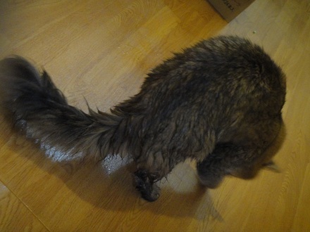 2012010800.jpg