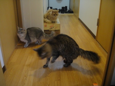 2012010801.jpg
