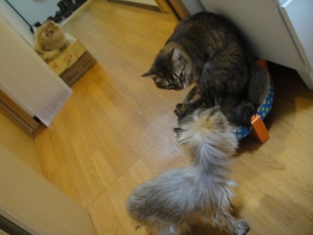 2012010802.jpg