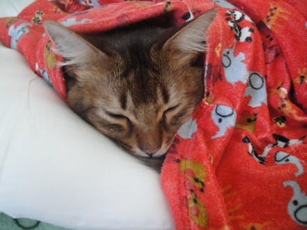 2012010803.jpg