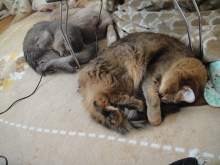 2012011100.jpg