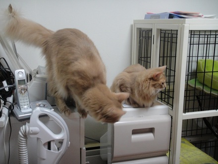 2012011201.jpg