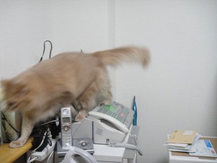 2012011202.jpg