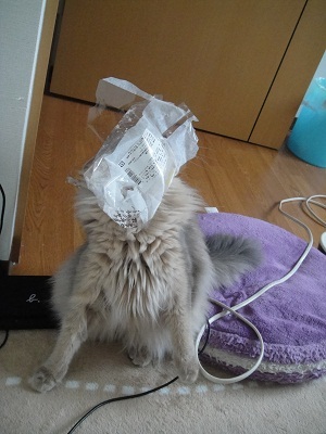 2012011303.jpg