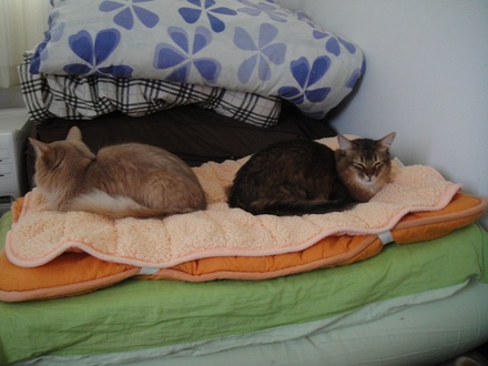 2012012200.jpg