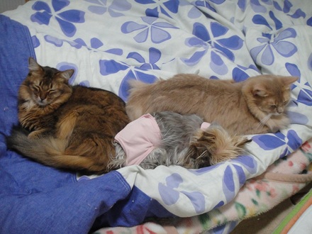 2012012400.jpg