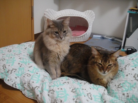 2012012600.jpg
