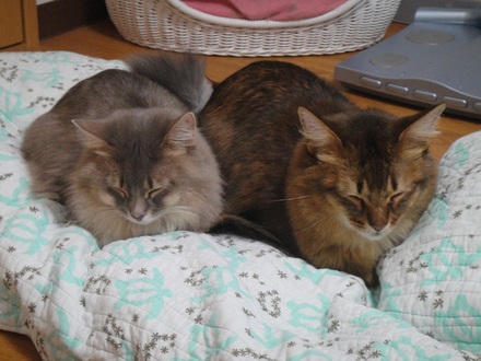 2012012601.jpg
