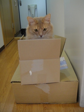 2012012900.jpg