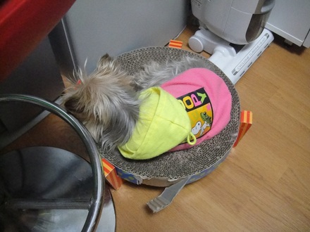 2012013001.jpg