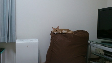 2012021200.jpg