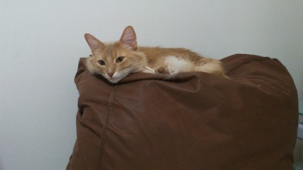 2012021201.jpg