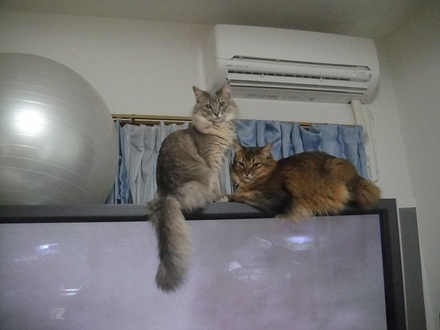 2012021300.jpg