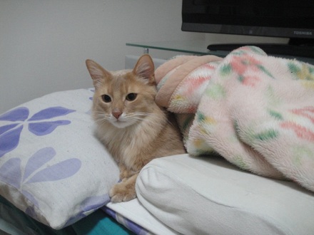 2012021400.jpg
