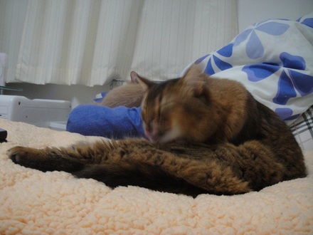 2012021401.jpg