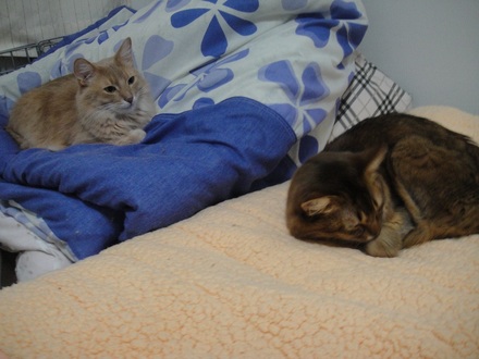 2012021700.jpg