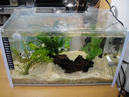 2012021701.jpg