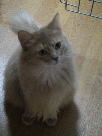 2012021800.jpg