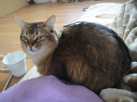 2012022100.jpg