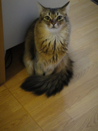 2012022600.jpg