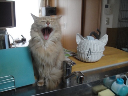 2012022700.jpg