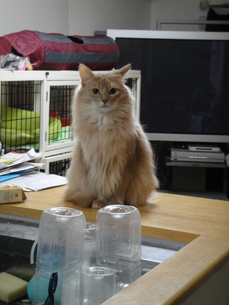 2012022900.jpg