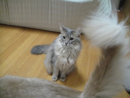 2012030300.jpg