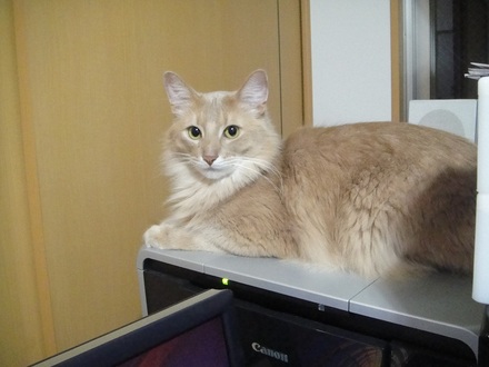 2012030301.jpg
