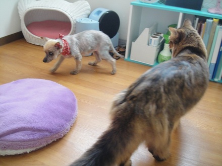2012030701.jpg