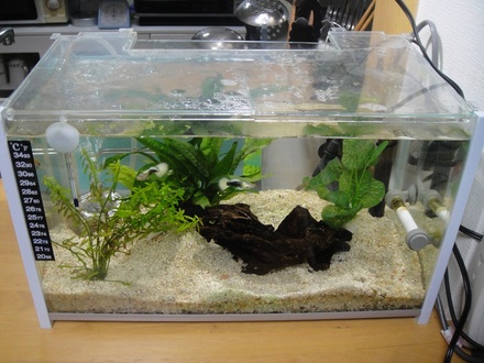 2012030900.jpg