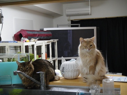 2012030901.jpg