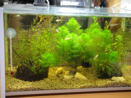 2012030902.jpg