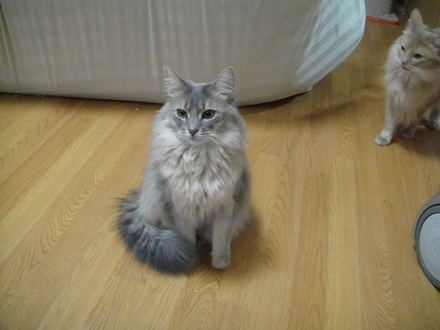 2012031000.jpg