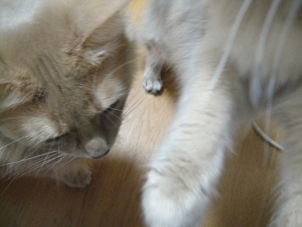 2012031001.jpg