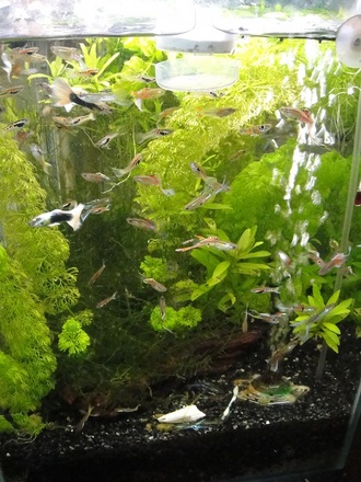 2012031100.jpg