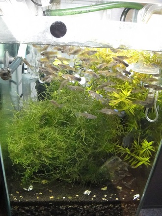 20120311013.jpg