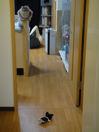 2012031301.jpg