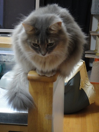 2012031302.jpg