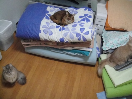 2012031600.jpg