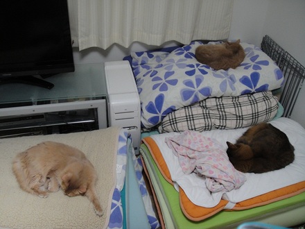 2012031900.jpg