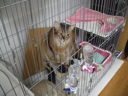 2012032001.jpg