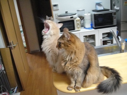 2012032200.jpg