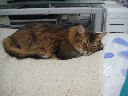 2012032400.jpg