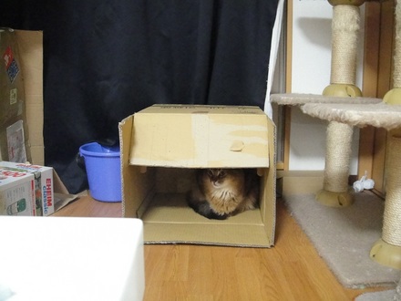 2012032600.jpg
