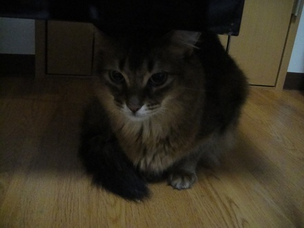 2012032900.jpg