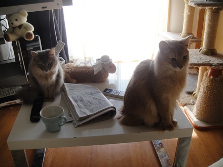 20120400.jpg